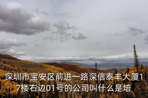 深圳市方興光電國顯，請問廣東省深圳市福田區(qū)福華路8號是一家什么公司
