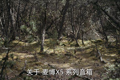 深圳麥博玄道x5音箱價(jià)格，關(guān)于 麥博X5 系列音箱