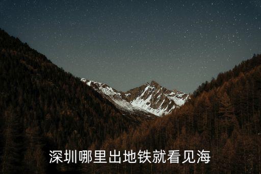 深圳紅樹林一出地鐵口就是海的是哪里，深圳地鐵公司后面那個海是紅樹林嗎