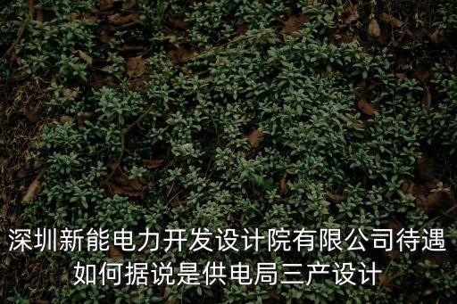 深圳新能電力開發設計院有限公司待遇如何據說是供電局三產設計
