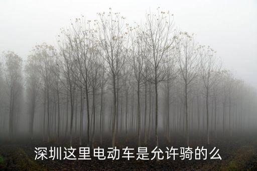 深圳這里電動車是允許騎的么