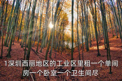 1深圳西麗地區的工業區里租一個單間房一個臥室一個衛生間盡