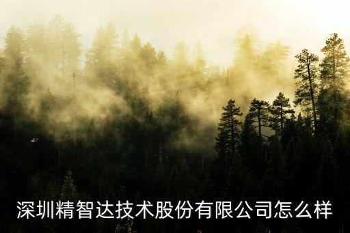 深圳精智達上市了嗎，精智達2022上市時間