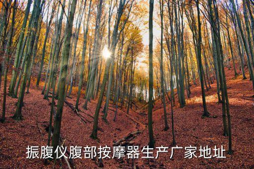 振腹儀腹部按摩器生產廣家地址