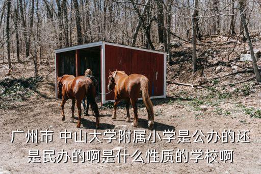 深圳中山大學附屬小學是公立還是私立，深大附中是公辦還是私辦