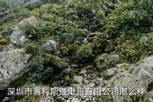 深圳賽科斯通有限公司，請問深圳大沖的飛亞達大廈1501室是什么公司