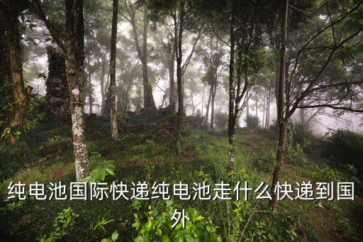 純電池國際快遞純電池走什么快遞到國外