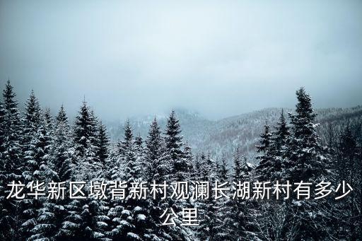 龍華新區(qū)墩背新村觀瀾長湖新村有多少公里