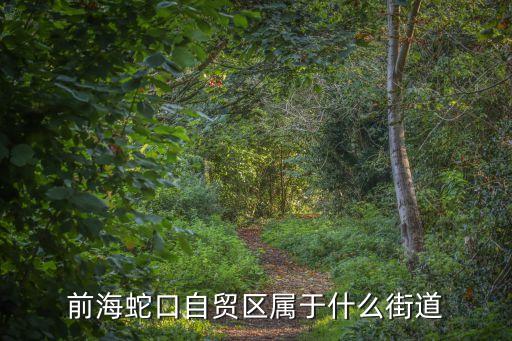 廣東深圳前海蛇口是哪個區(qū)，蛇口屬于深圳市哪個區(qū)