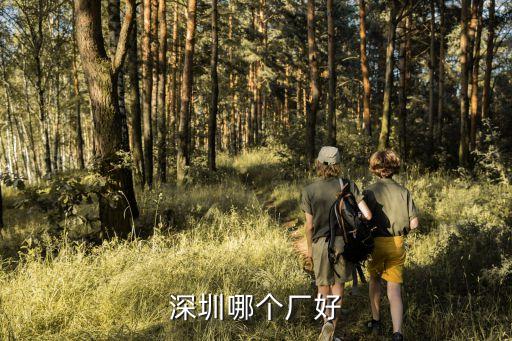 深圳50腳輪生產廠家哪家好，深圳哪個廠各方面都好