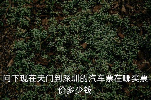 問下現(xiàn)在天門到深圳的汽車票在哪買票價多少錢