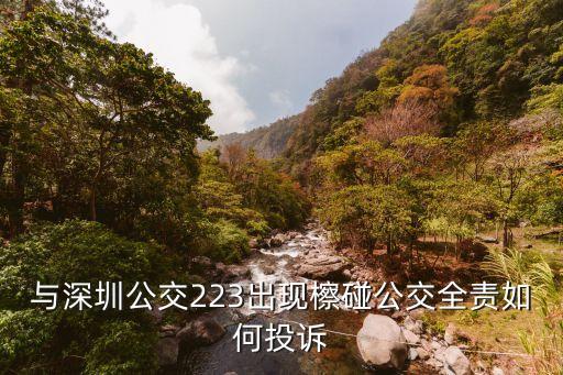 深圳巴士集團鄧盈盈，深圳巴士集團董事長