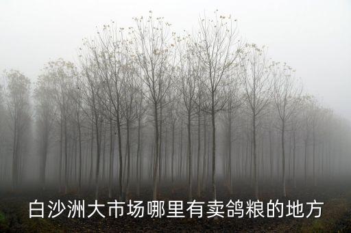 白沙洲大市場哪里有賣鴿糧的地方