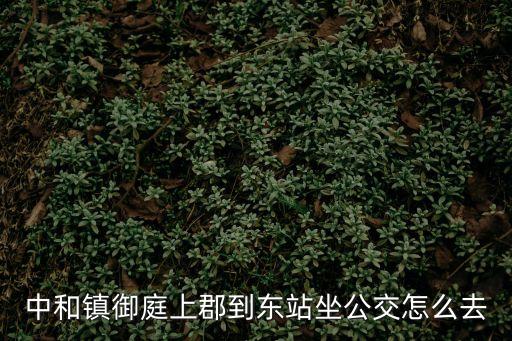 中和鎮(zhèn)御庭上郡到東站坐公交怎么去