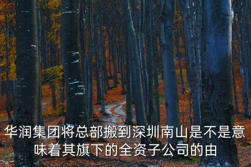 深圳市北辰建設有限公司，深圳有哪些知名的建筑設計公司
