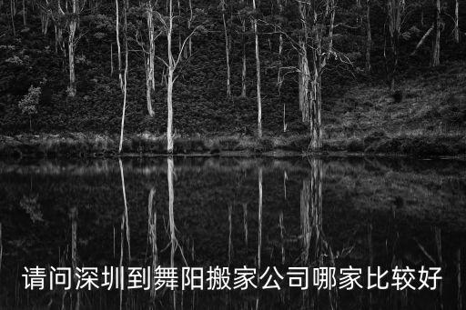 深圳新鵬物流有限公司簡介，深圳ups快遞簡介