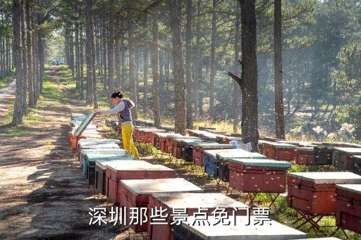 深圳大梅公園免票，深圳大梅沙公園現(xiàn)在要門(mén)票嗎