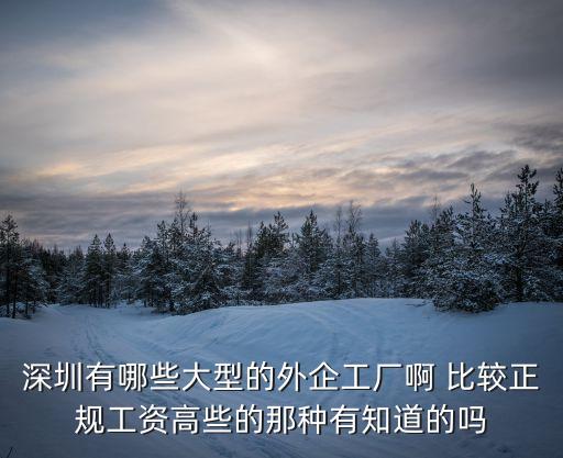 深圳有哪些大型的外企工廠啊 比較正規工資高些的那種有知道的嗎