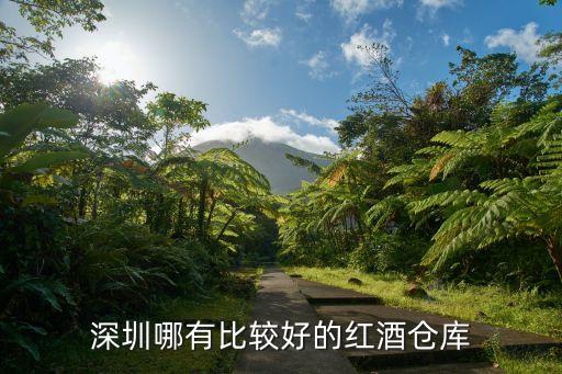 深圳多功能紅酒倉庫口碑推薦，我家在深圳家里有許多紅酒繼續能夠儲存的倉庫用過的求介紹個