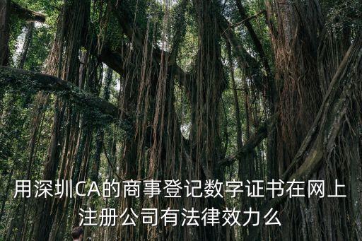 用深圳CA的商事登記數字證書在網上注冊公司有法律效力么