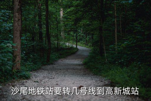 從沙尾地鐵站到深圳大學坐幾號線，去深圳大學路線