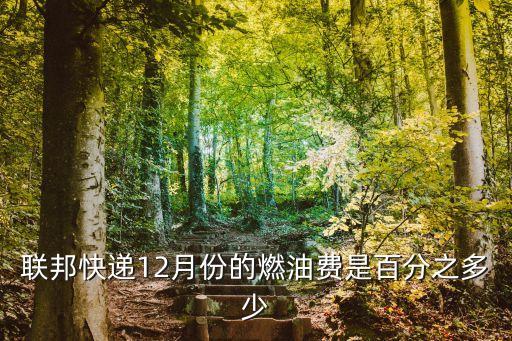 深圳羅湖fedex燃油附加費(fèi)，聯(lián)邦快遞12月份的燃油費(fèi)是百分之多少