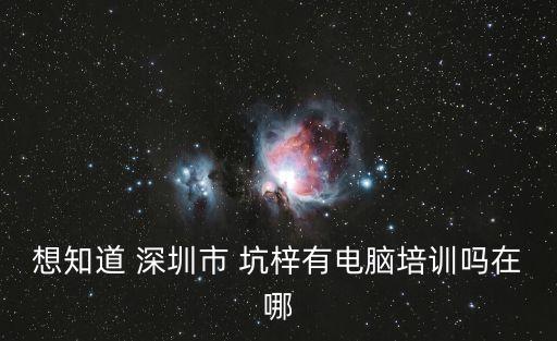 想知道 深圳市 坑梓有電腦培訓嗎在哪