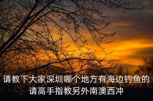 深圳南澳海灘釣點，深圳南澳哪里可以釣魚呢要求公車能到的