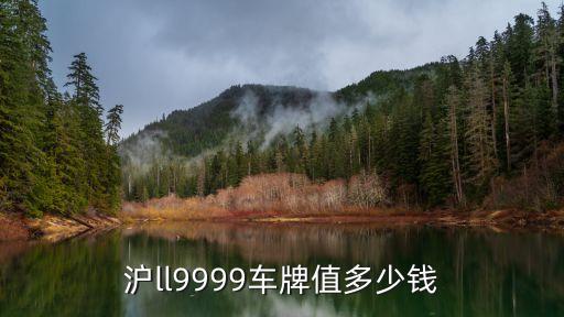滬ll9999車牌值多少錢