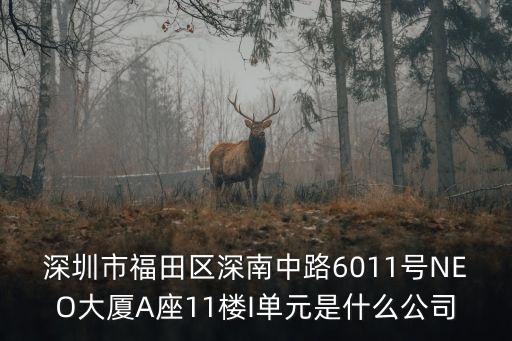 深圳市福田區(qū)深南中路6011號(hào)NEO大廈A座11樓I單元是什么公司