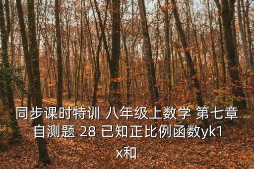 同步課時特訓 八年級上數學 第七章自測題 28 已知正比例函數yk1x和