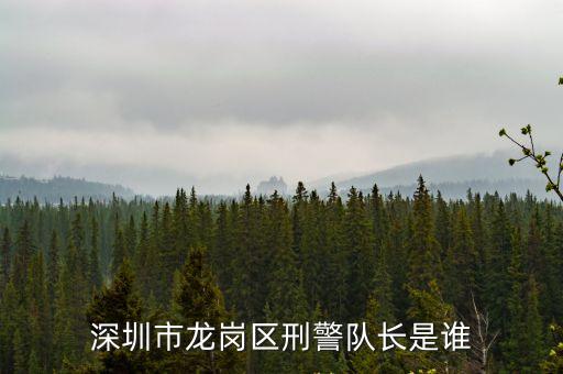 深圳市張東輝，深圳市寶安區25區裕安二路華豐商務大廈B座有叫 深圳市長田環保有