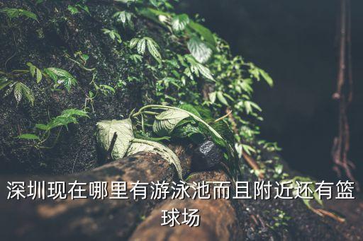 深圳東門水球場，深圳南山中心區的門球場在哪