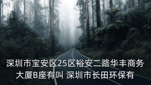 深圳市寶安區25區裕安二路華豐商務大廈B座有叫 深圳市長田環保有