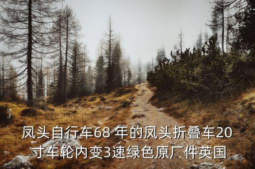 鳳頭自行車68 年的鳳頭折疊車20 寸車輪內變3速綠色原廠件英國
