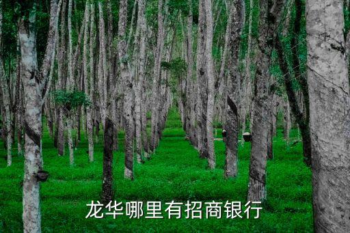 深圳龍華天安云谷附近的招商銀行，龍華那里有招商銀行