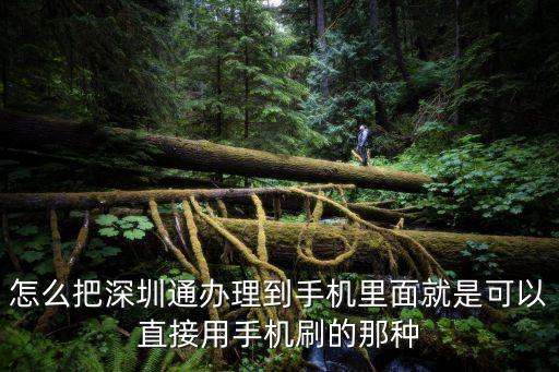 怎么把深圳通辦理到手機(jī)里面就是可以直接用手機(jī)刷的那種