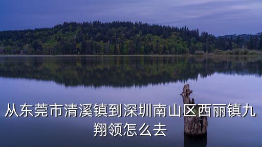 清溪鎮到深圳西麗坐什么車，從東莞市清溪鎮到深圳南山區西麗鎮九翔領怎么去