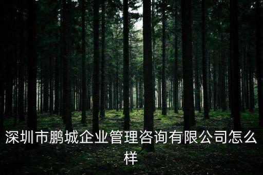 深圳市鵬城企業管理咨詢有限公司怎么樣