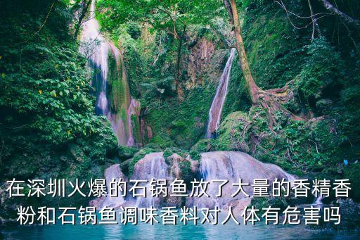 在深圳火爆的石鍋魚放了大量的香精香粉和石鍋魚調(diào)味香料對人體有危害嗎