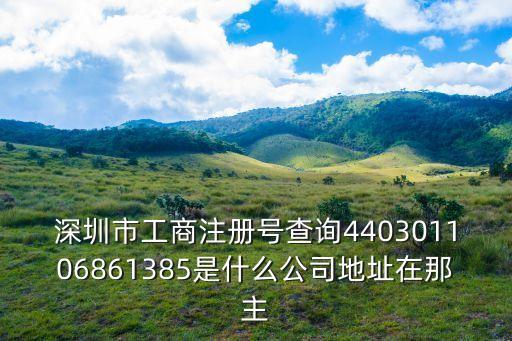 深圳市工商注冊號查詢440301106861385是什么公司地址在那主