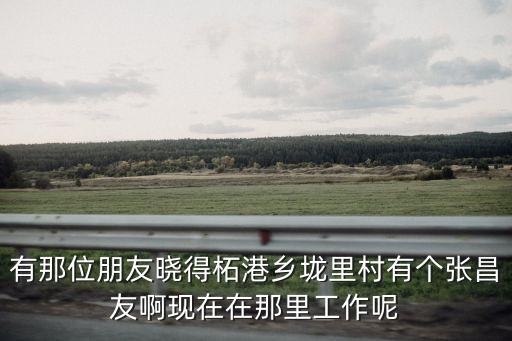 有那位朋友曉得柘港鄉垅里村有個張昌友啊現在在那里工作呢