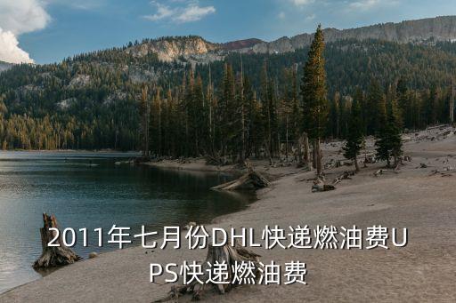 深圳龍華fedex燃油附加費(fèi)，聯(lián)邦快遞12月份的燃油費(fèi)是百分之多少