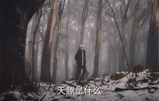 深圳市新天源有限公司，天源是什么