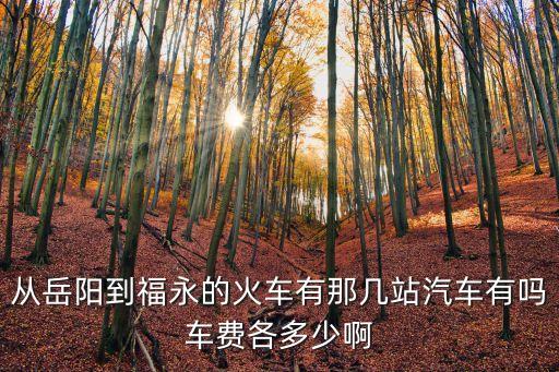 從岳陽到福永的火車有那幾站汽車有嗎車費各多少啊