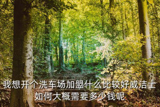 我想開個洗車場加盟什么比較好威潔士如何大概需要多少錢呢