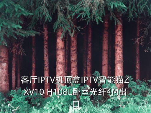 客廳IPTV機(jī)頂盒IPTV智能貓ZXV10 H108L臥室光纖4M出口