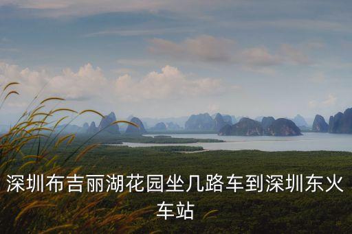 布吉麗湖坐幾路車(chē)到深圳東站，布吉汽車(chē)客運(yùn)站坐什么車(chē)到深圳東站