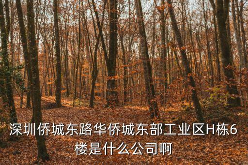深圳僑城東路華僑城東部工業區H棟6樓是什么公司啊