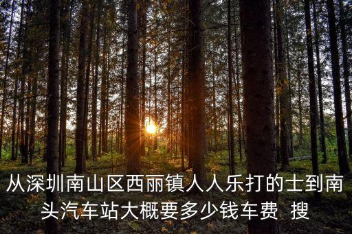 深圳到南頭開車需要多少錢，從深圳大學城打的到南頭多少錢